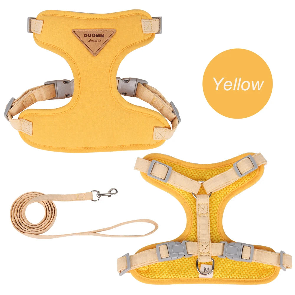 Yellow harness and matching leash on white