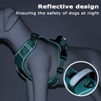 Tracker-Holder Dog Harness & Leash Set — product view 5