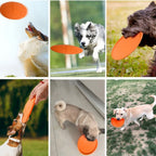 Dogs playing fetch with an orange flying disc
