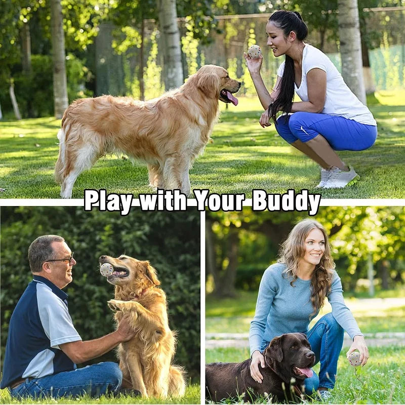 Dog with speckled E-TPU ball
