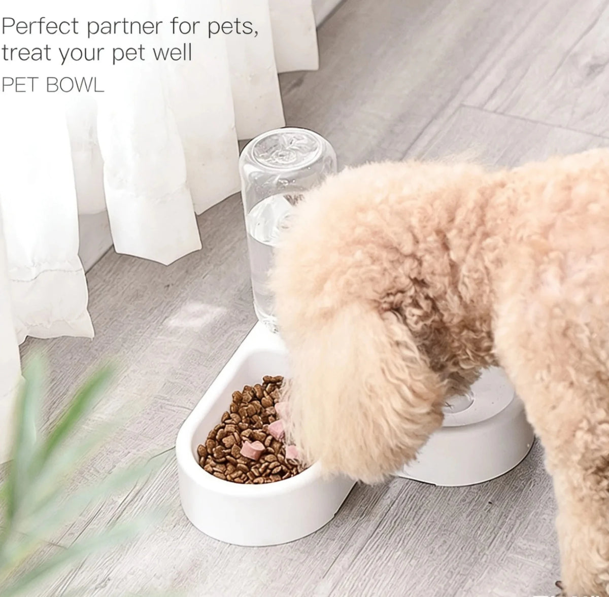 Dog eating from the heart-shaped food and gravity water bowl