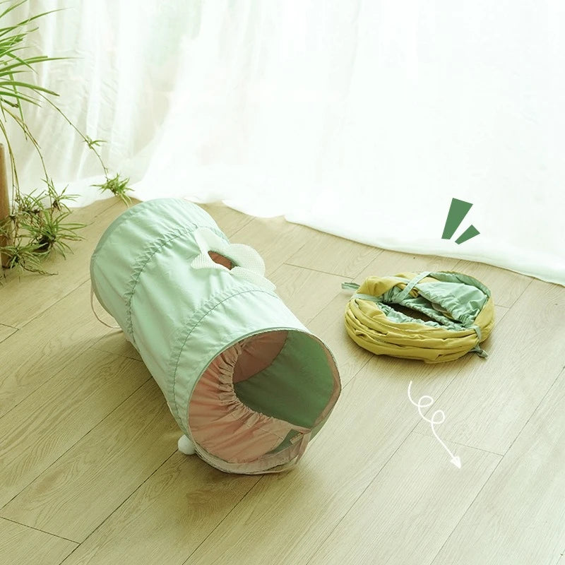Cat entering green spiral tunnel