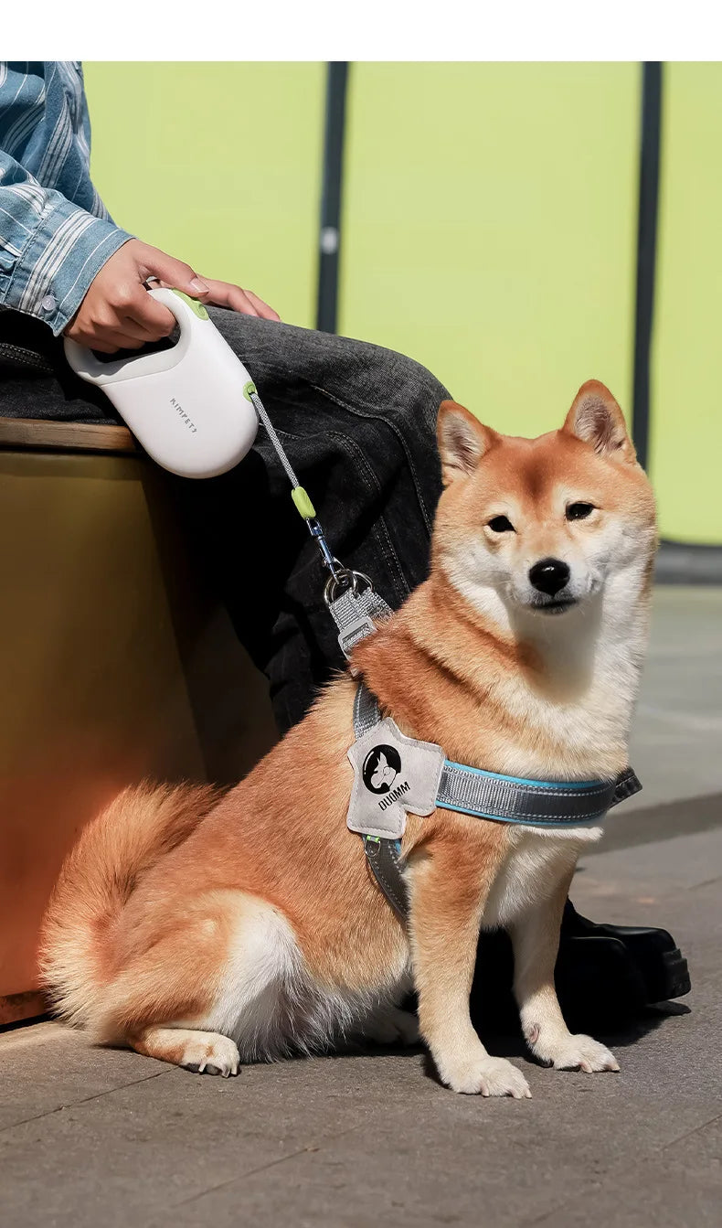 KIMPET™ Striped Tape Retractable Dog Leash