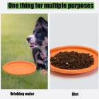 Orange flying disc used for fetch and as a shallow travel dish