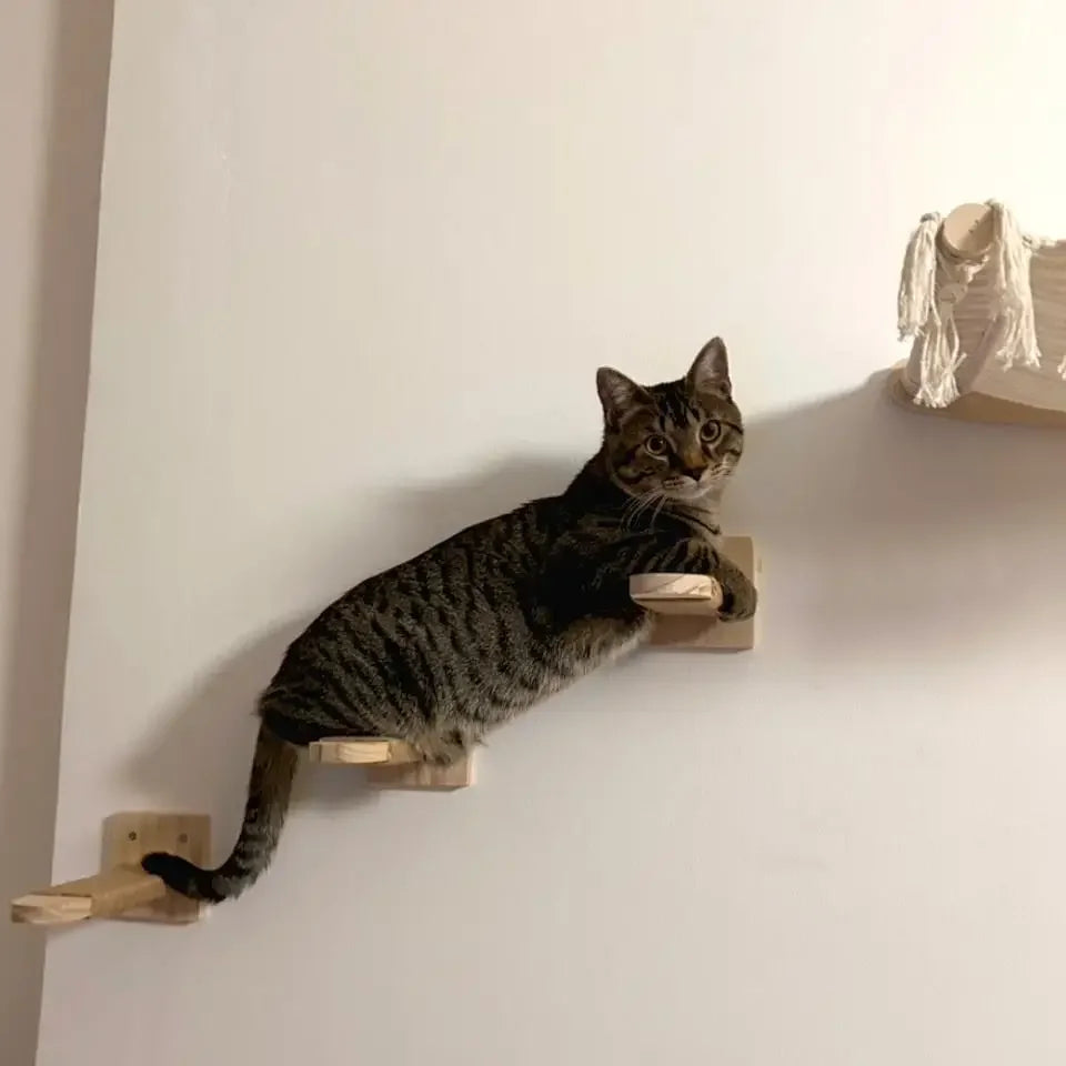 Cat climbing a series of natural wood wall steps