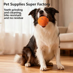 Dog carrying an orange covered rolling ball