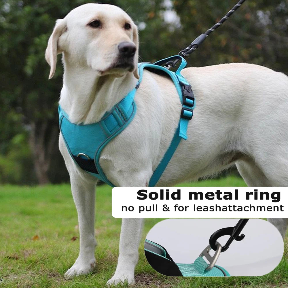 Tracker-Holder Dog Harness & Leash Set — product view 3