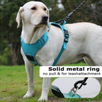Tracker-Holder Dog Harness & Leash Set — product view 3