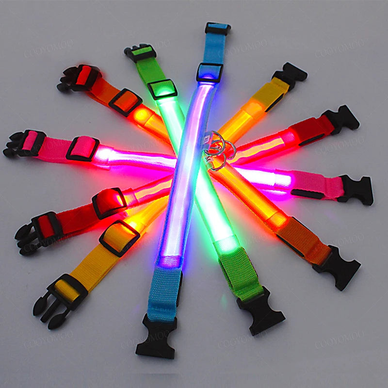 USB-Rechargeable Light-Up Dog Collar
