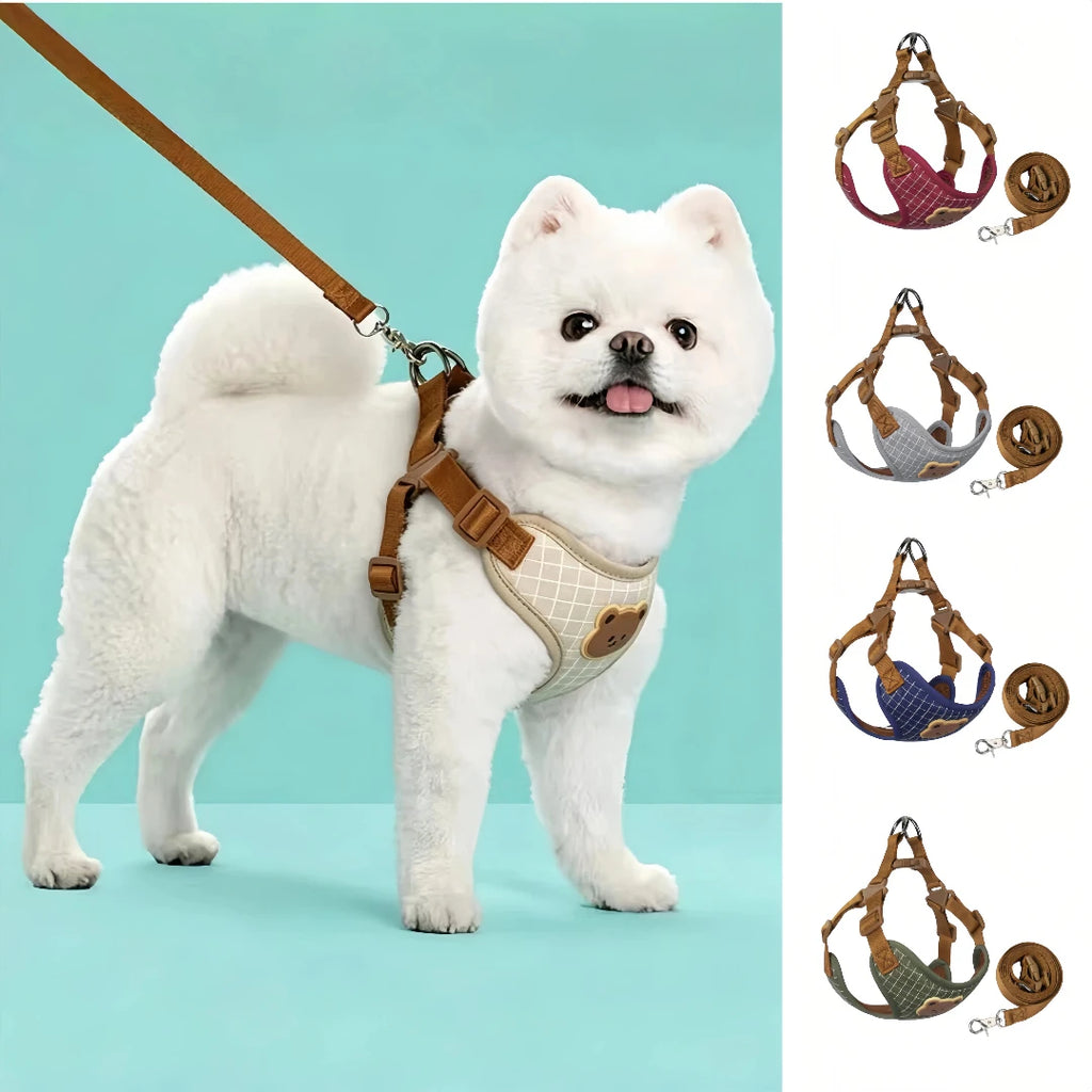 Small dog wearing the bear-detail harness and leash