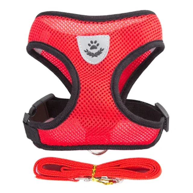 Red mesh harness and matching leash