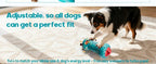 Dog using the adjustable treat-dispensing roller