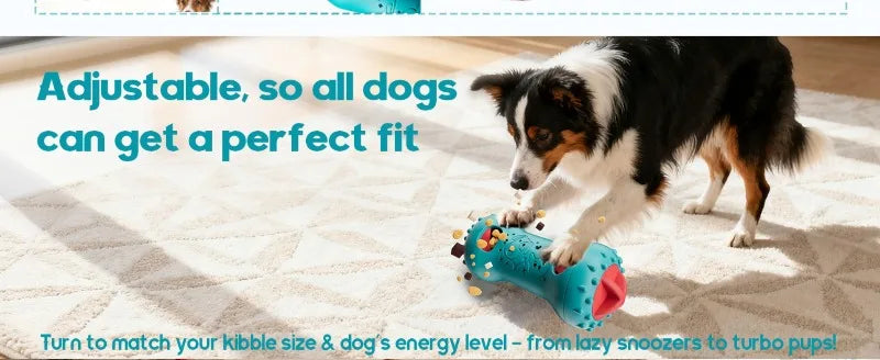 Dog using the adjustable treat-dispensing roller