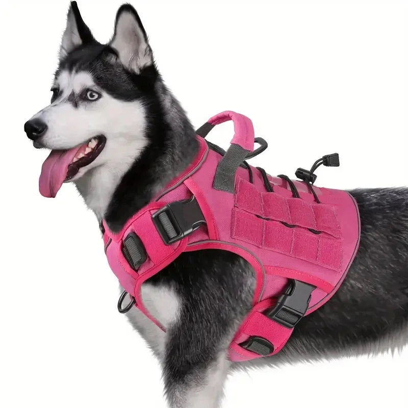 Fuchsia tactical dog harness