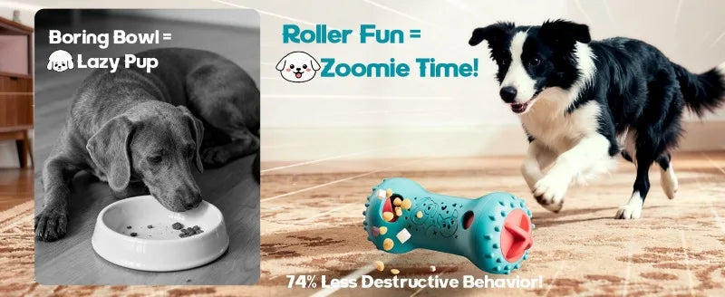 Dog chasing a rolling treat dispenser