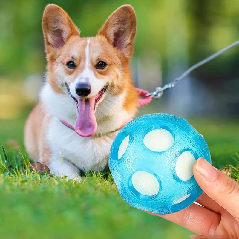 Aqua floating dog ball shown in hand