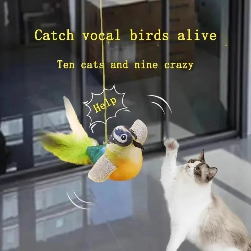 Cat reaching for a hanging chirping bird toy