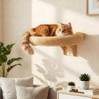 Cat resting in a pine wall-mounted hammock