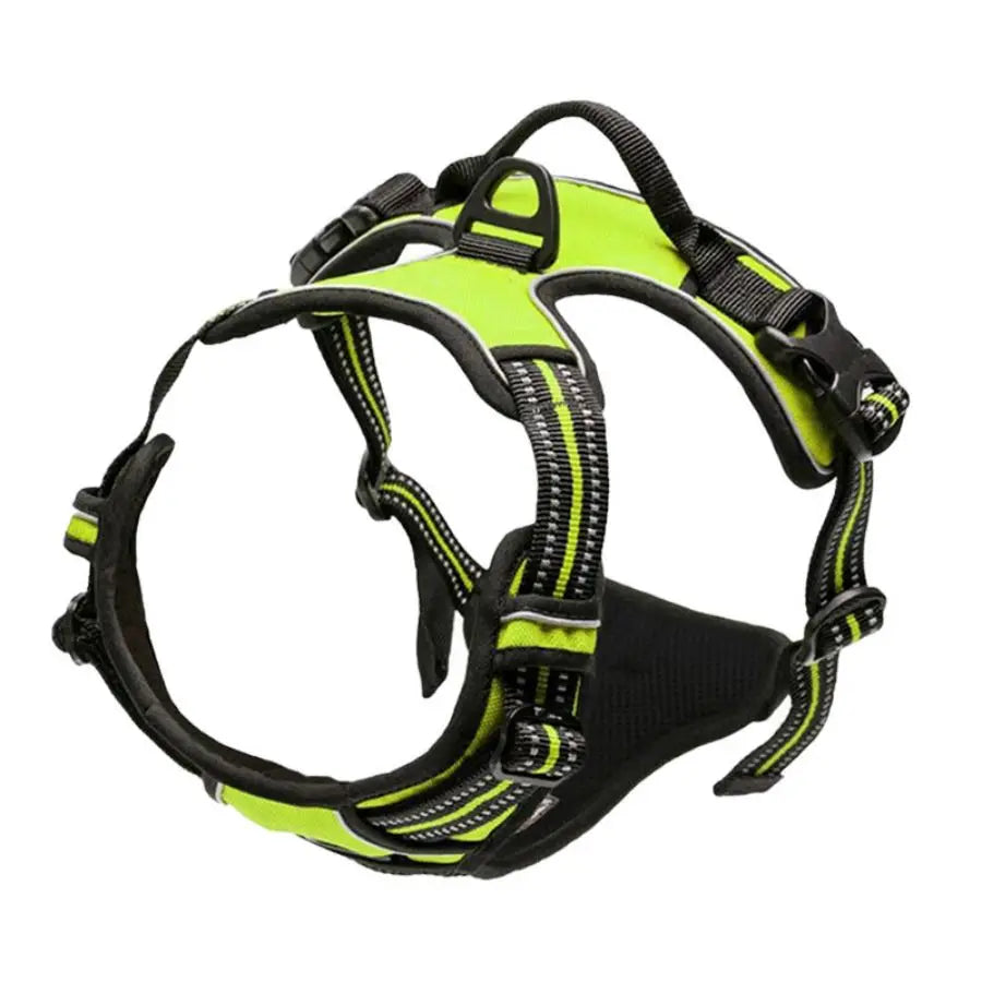 Green reflective dual-clip dog harness