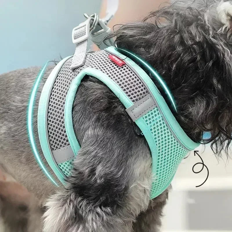 Reflective Mesh Harness & Leash Set — product view 2