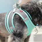 Reflective Mesh Harness & Leash Set — product view 2