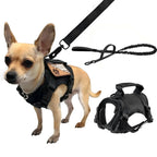 Tactical-style small-pet harness and elastic leash set