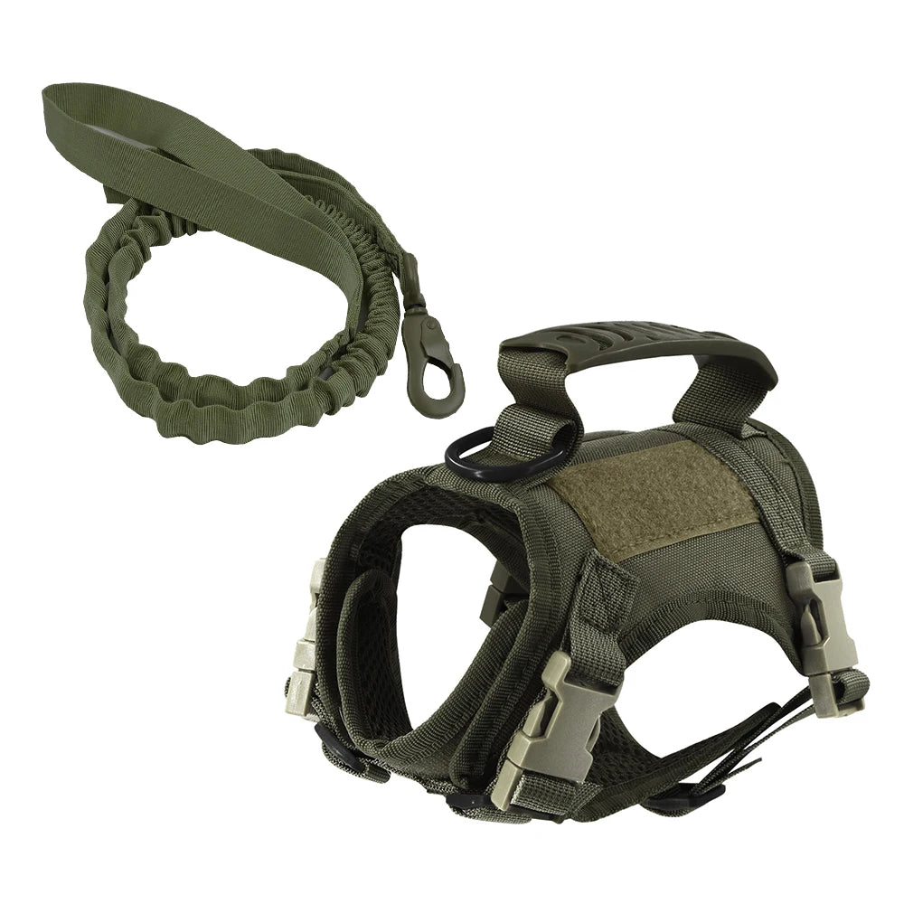 Green tactical harness and leash set on white