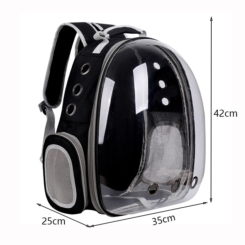 Pet carrier dimensions: 42 × 35 × 25 cm
