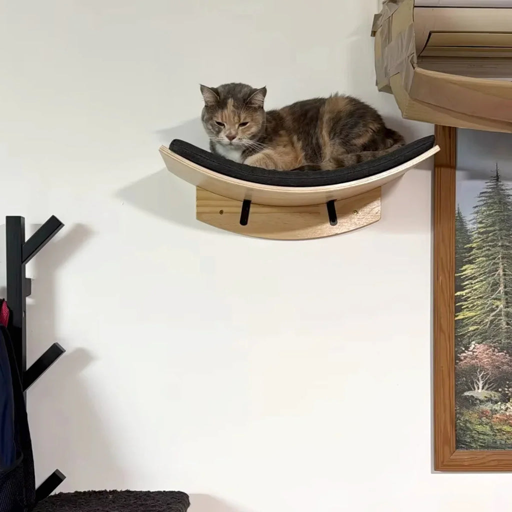 Cat resting on a curved wall-mounted wood perch