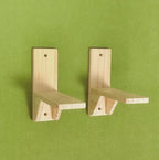 Wall-mounted cat bridge bracket and screw detail