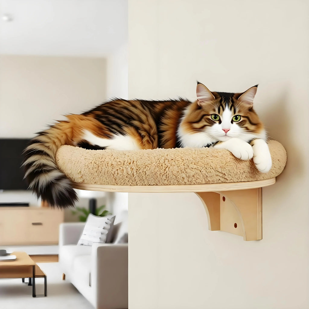 Cat lounging on a plush wall-mounted hammock