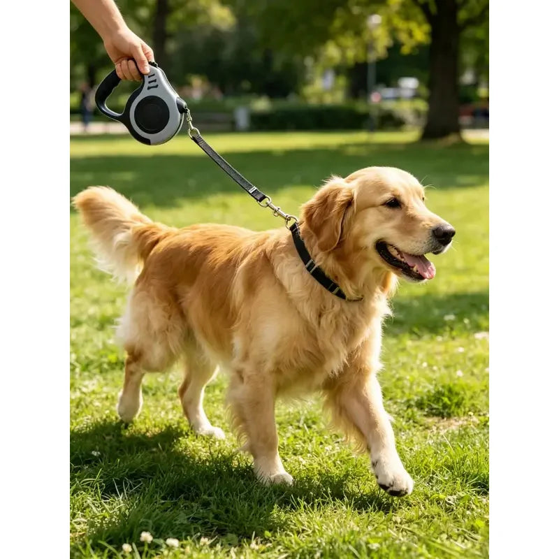 Compact retractable leash used on a walk
