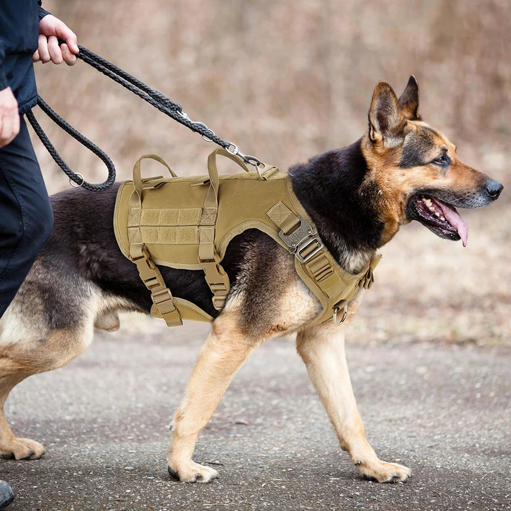 MOLLE-Style Tactical Dog Harness — product view 4