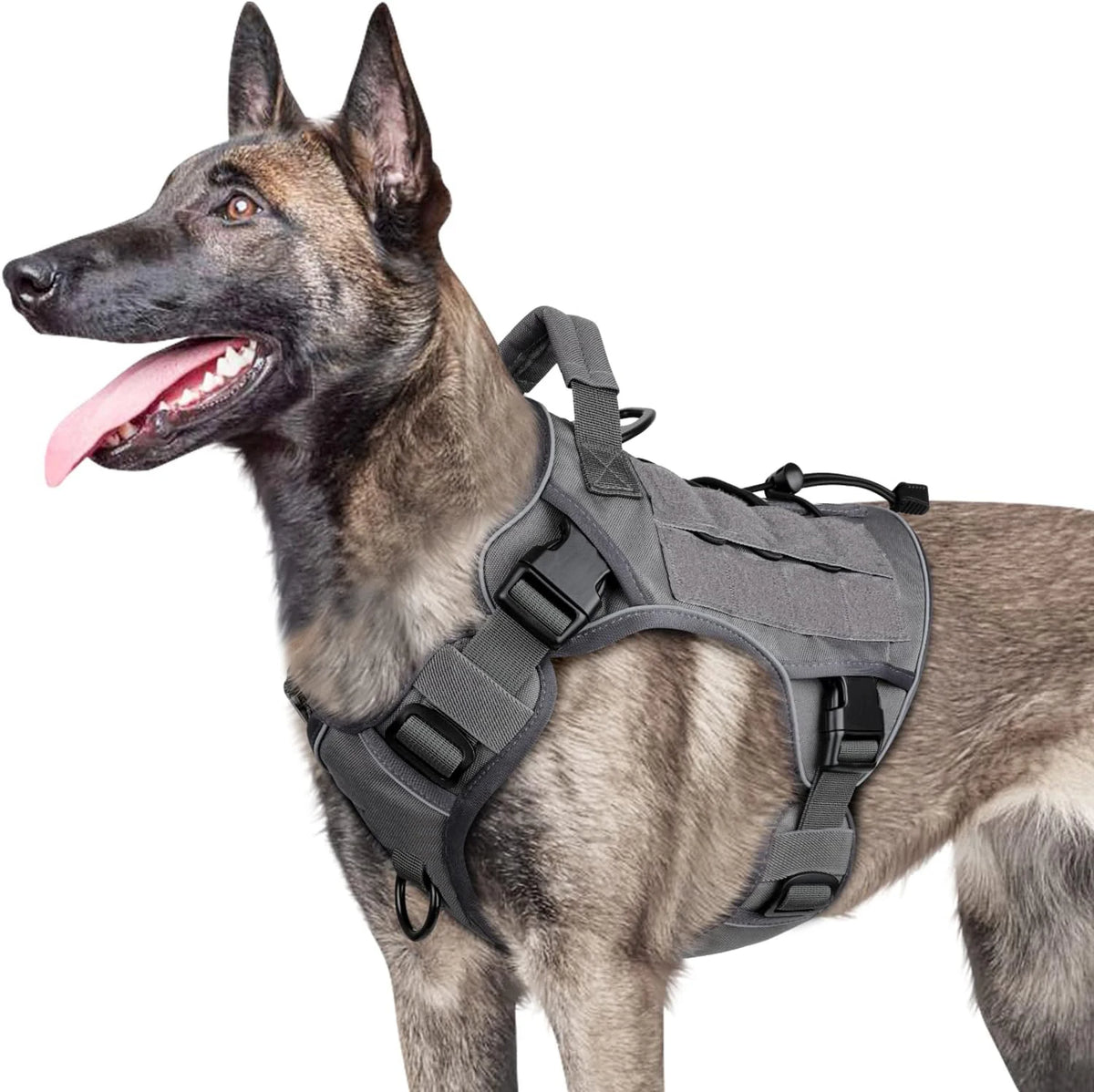 Gray tactical dog harness