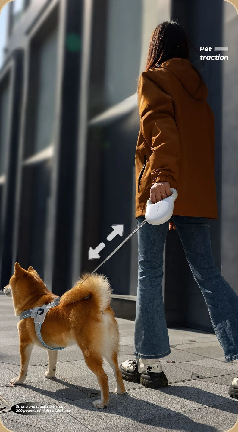 KIMPET™ Striped Tape Retractable Dog Leash