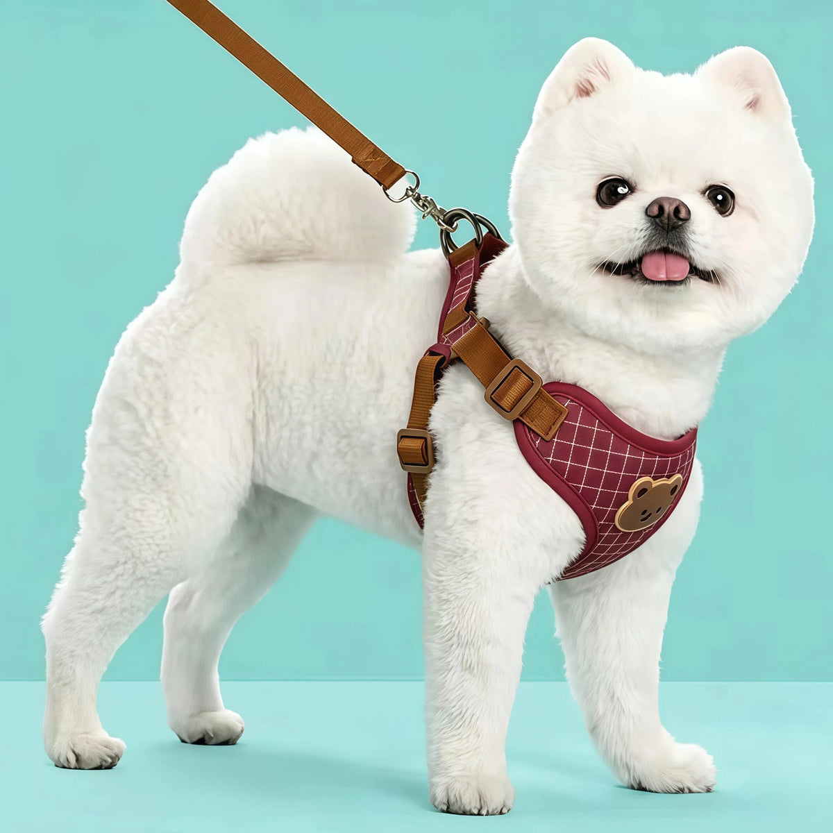 Plaid red harness on a small dog