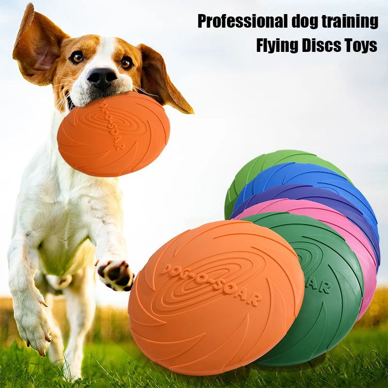 Dogs with flexible colorful TPR flying discs