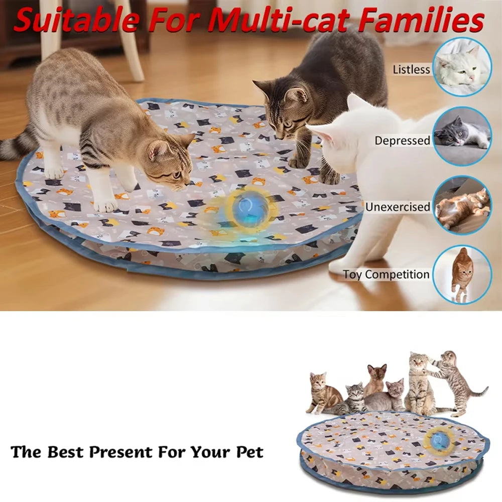 Multiple cats gathered around the round hideaway pouch