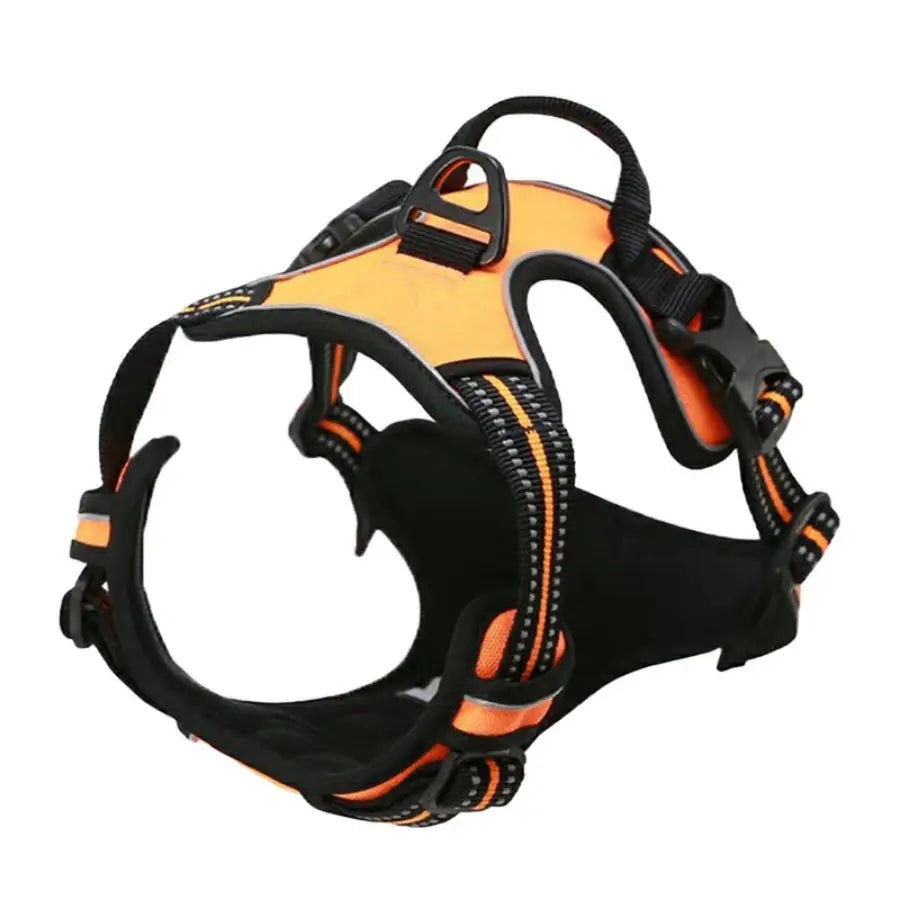 Orange reflective dual-clip dog harness