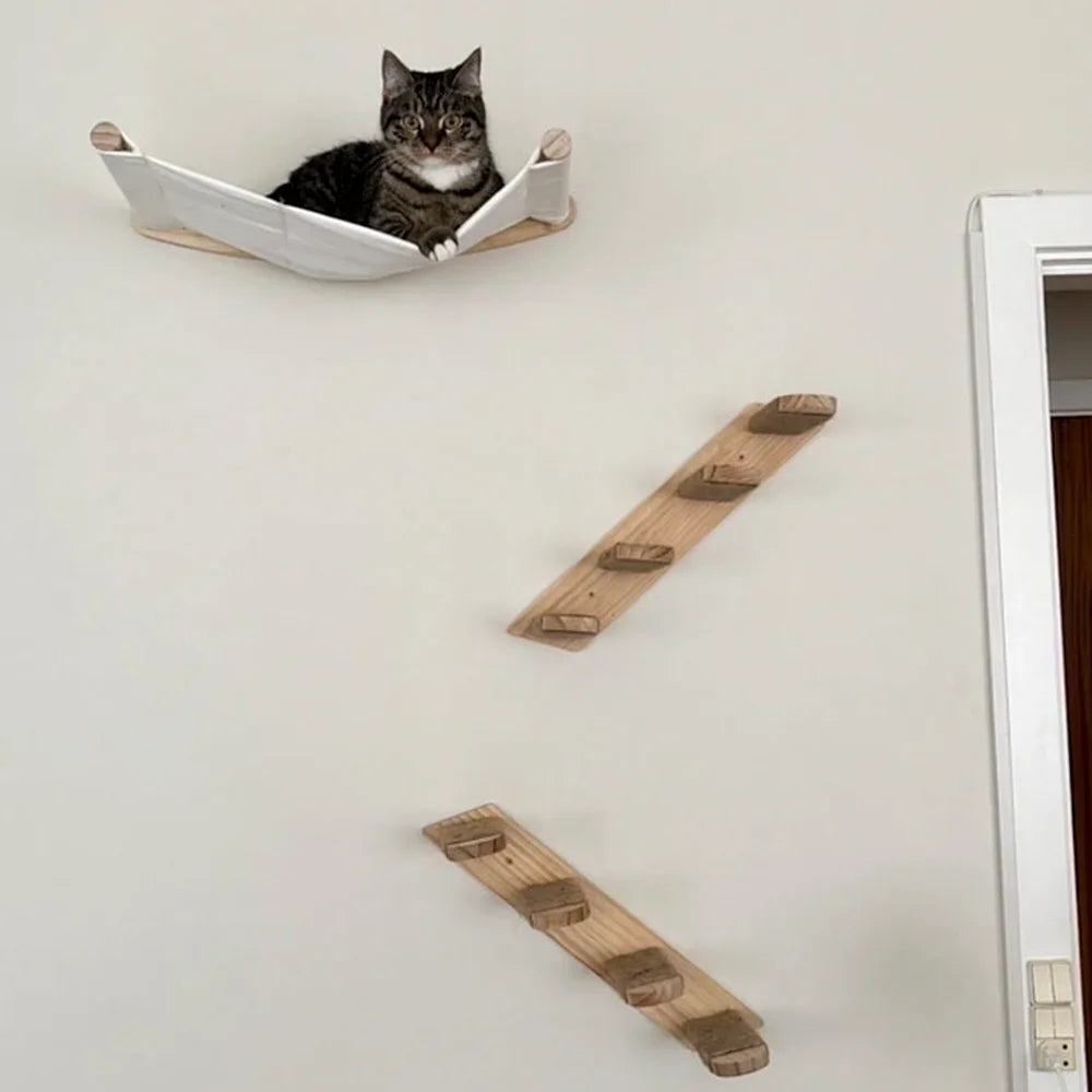 Cat wall steps arranged as a climbing path
