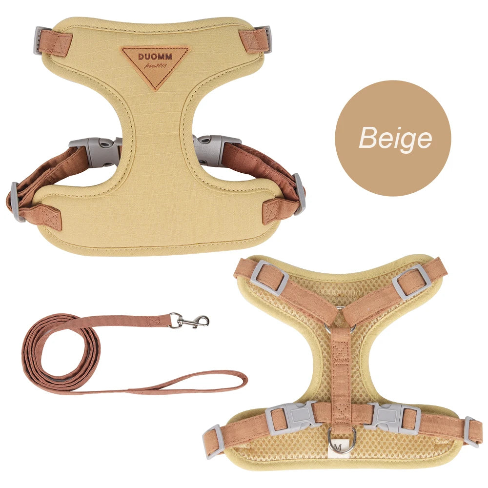 Beige harness and matching leash on white