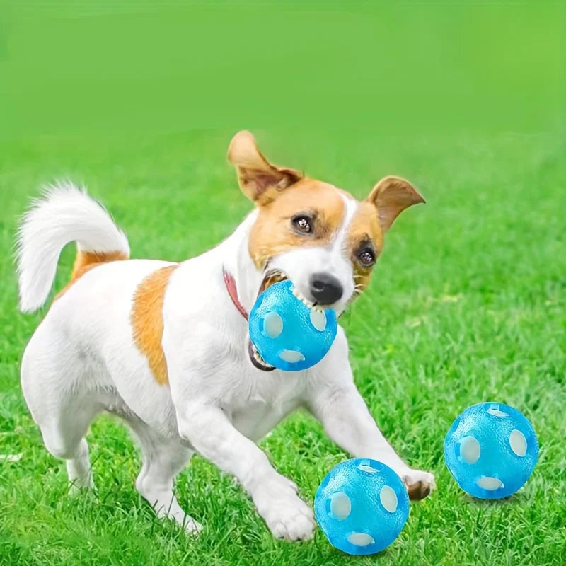Dog carrying an aqua ball during outdoor fetch