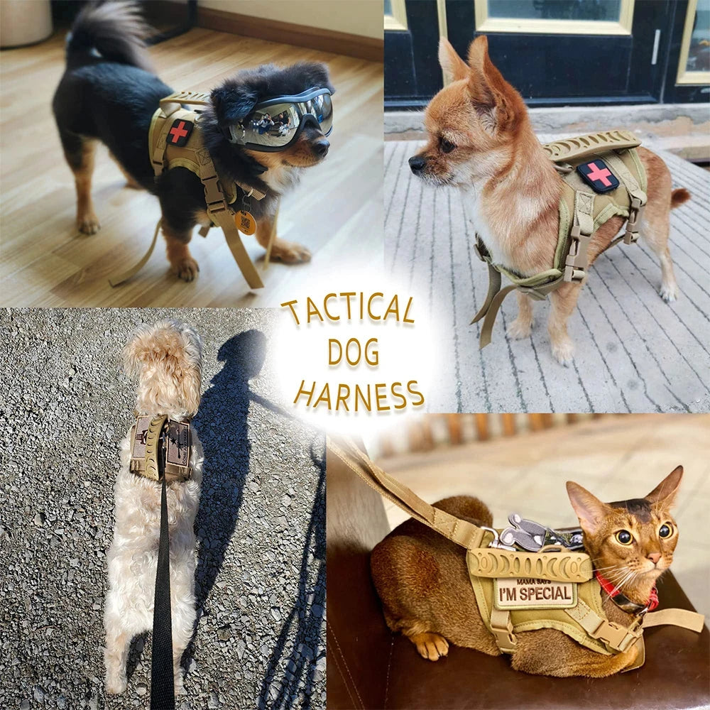 Tactical Small-Pet Harness & Leash Set — product view 3