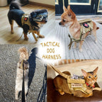 Tactical Small-Pet Harness & Leash Set — product view 3