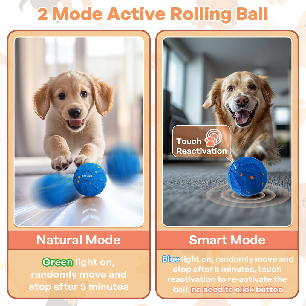 Rechargeable Motion Dog Ball
