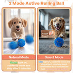Rechargeable Motion Dog Ball