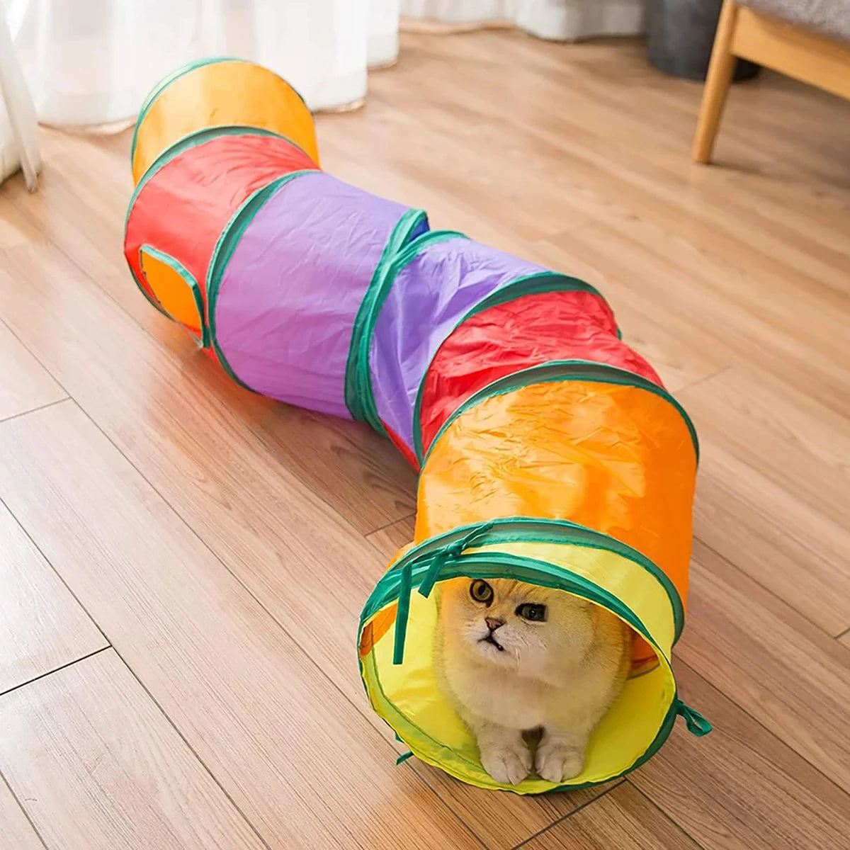 Cat peeking from a curved tunnel opening