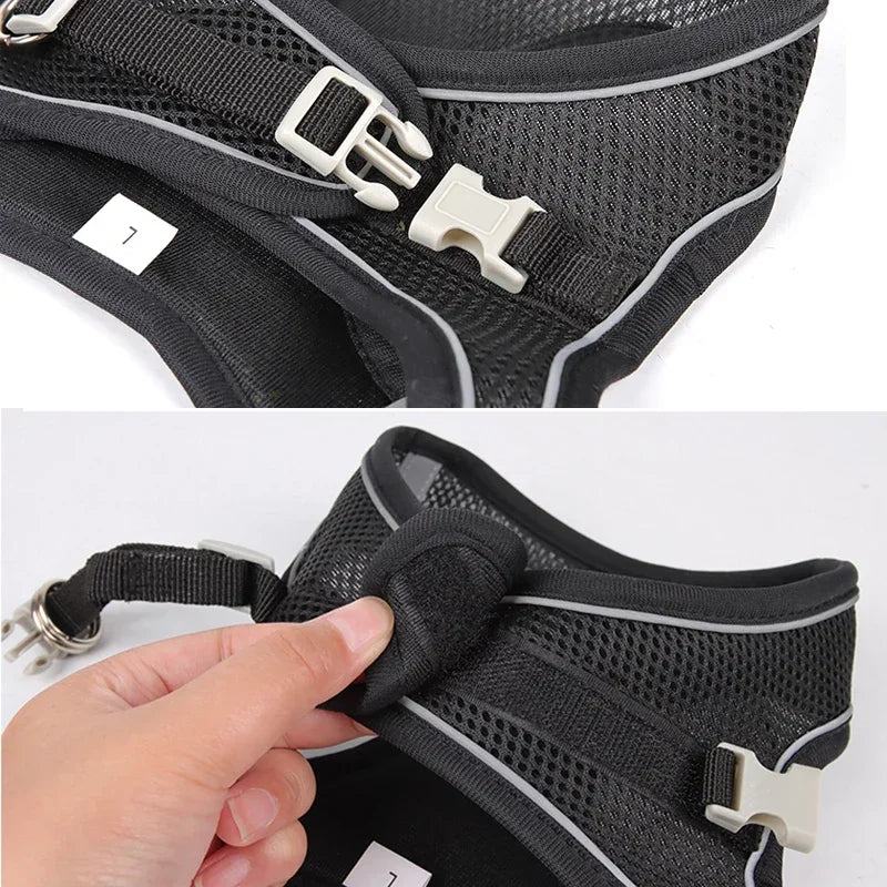 Reflective Mesh Harness & Leash Set — product view 4
