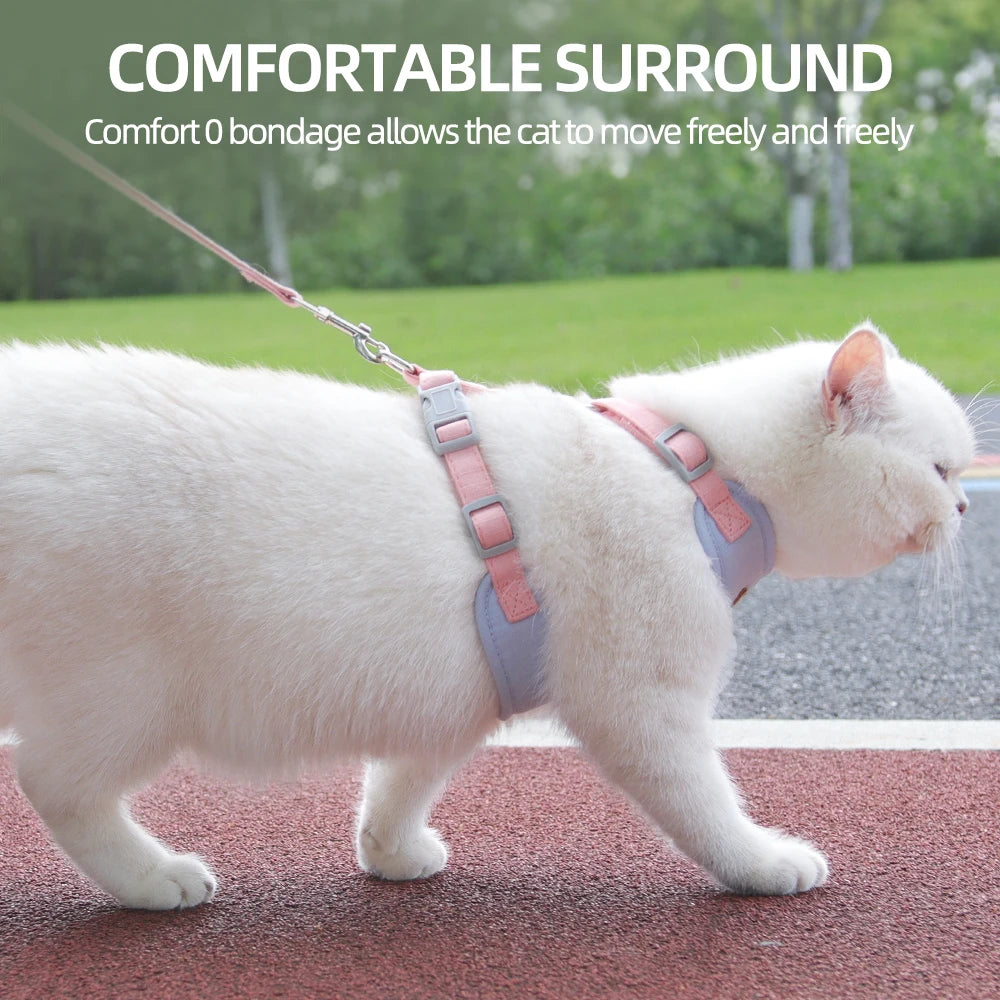 Cat walking in a pink harness not offered by current variants