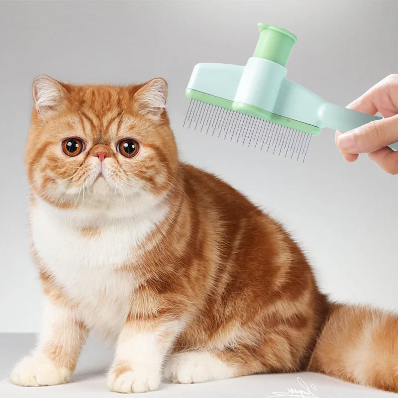 Green grooming comb used gently on a cat